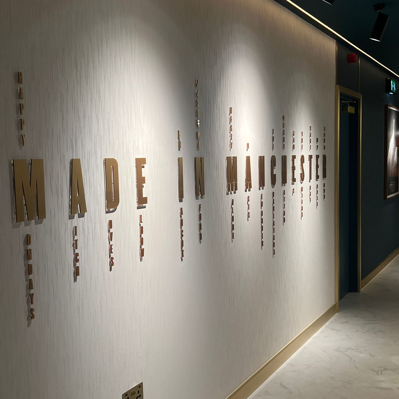 VIP Entrance, AO Arena